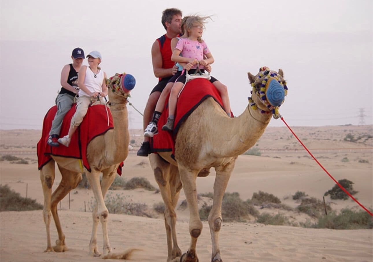 High-Speed Dune Bashing